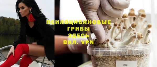 герыч Алексин