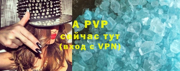 СК Абинск