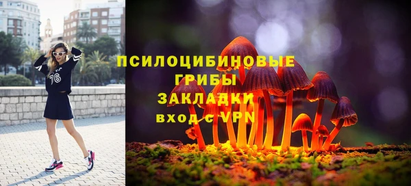 герыч Алексин